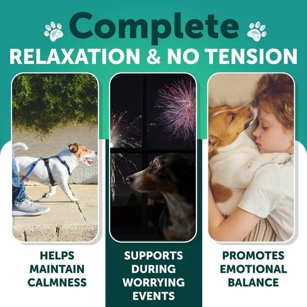 CalmTail™ Hemp Calming Chews