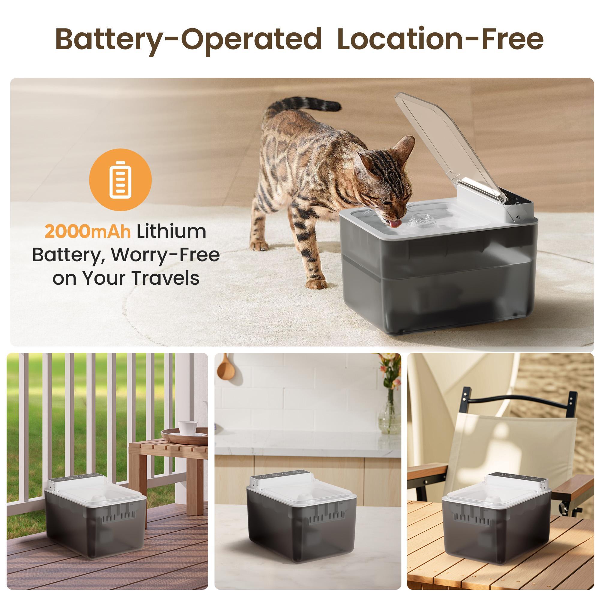 BrainBite™ Hydro-Flow Wireless Stainless Fountain