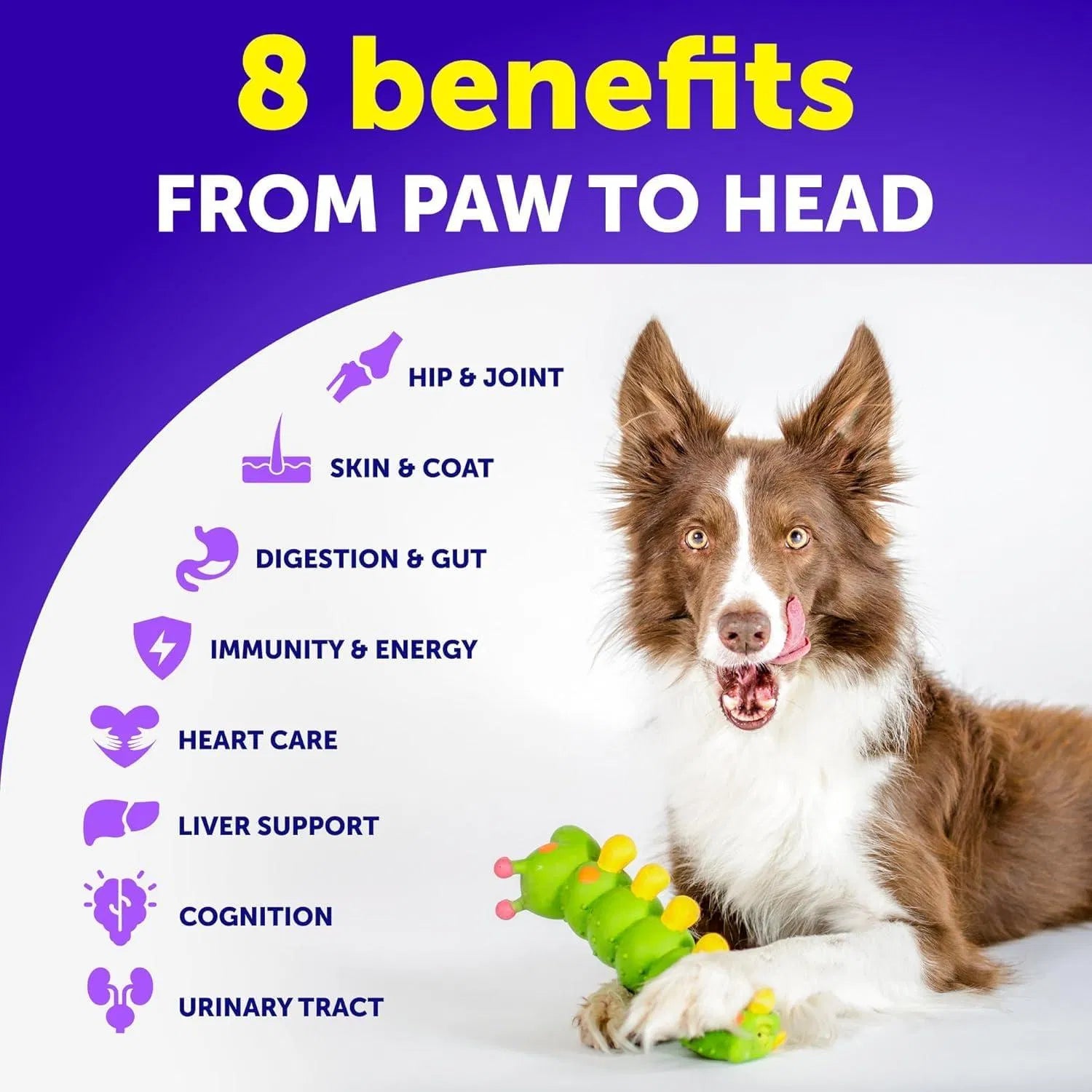 VitaPaws™ 20-in-1 Dog Multivitamin Chews